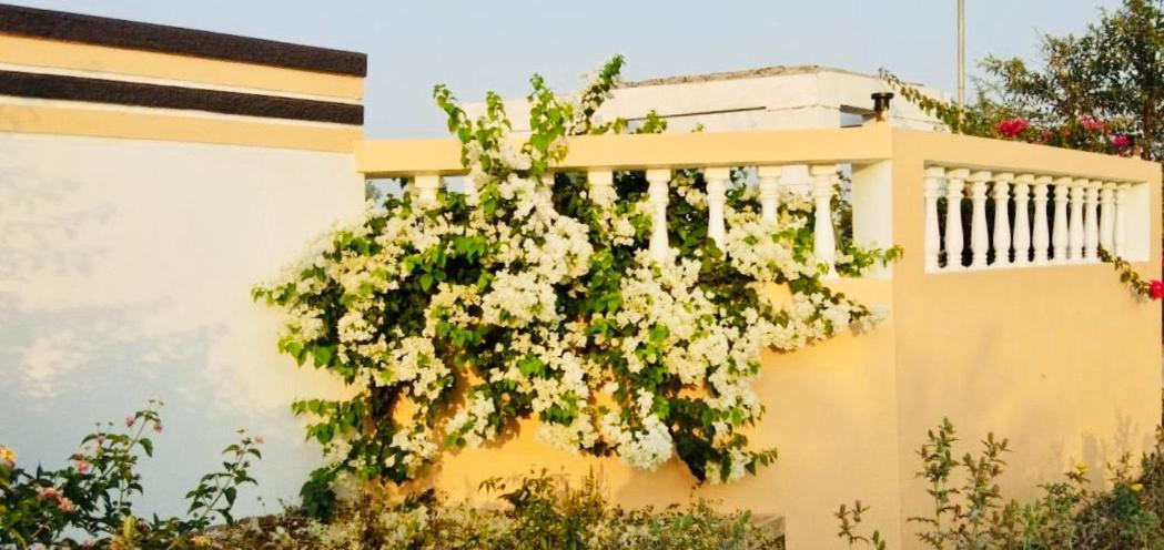 Royal Meadows - Igatpuri Bungalow C Ngoại thất bức ảnh